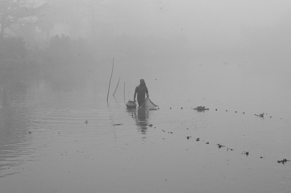 Fish Harvesting - Photo Series By Indian Photographer Ritesh Roy Chowdhury